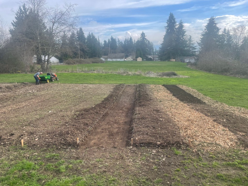 The first garden beds and paths