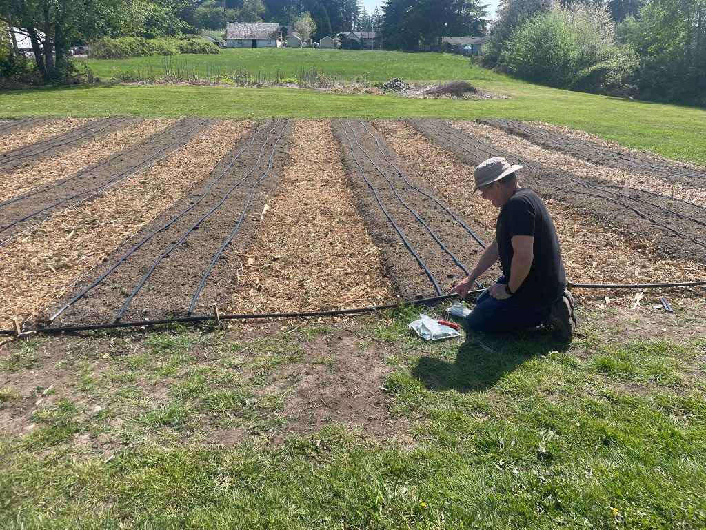 Installing irrigation lines