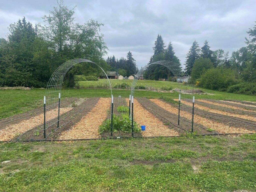 A Fine Support&nbsp;System