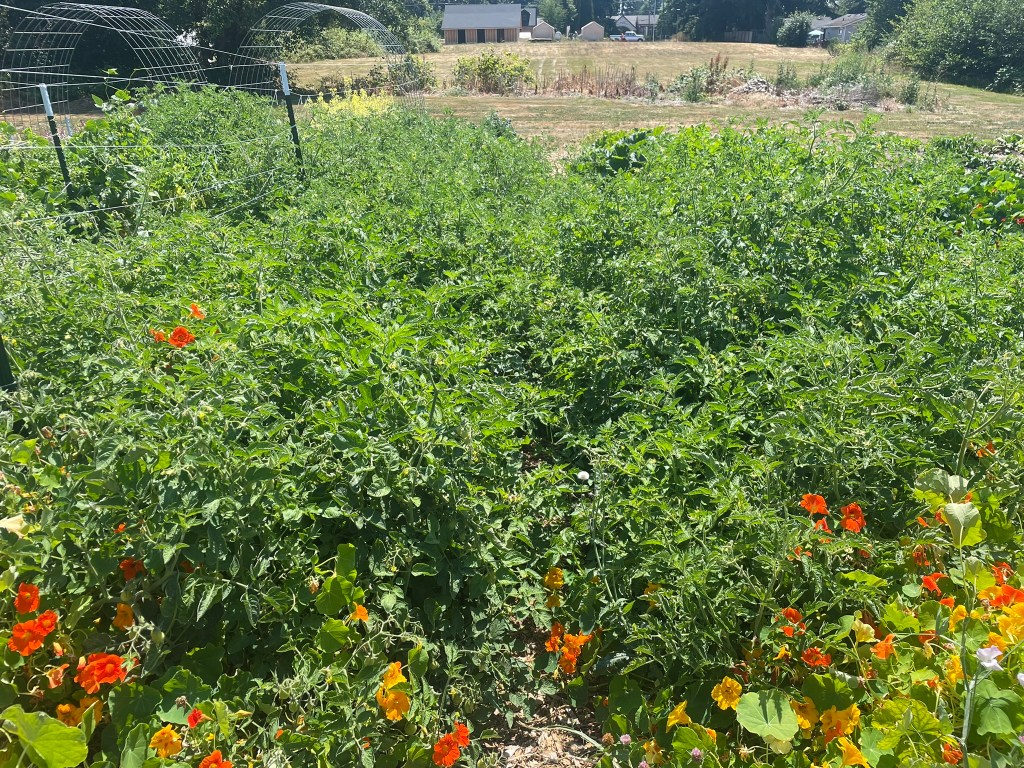 Welcome to the&nbsp;Jungle