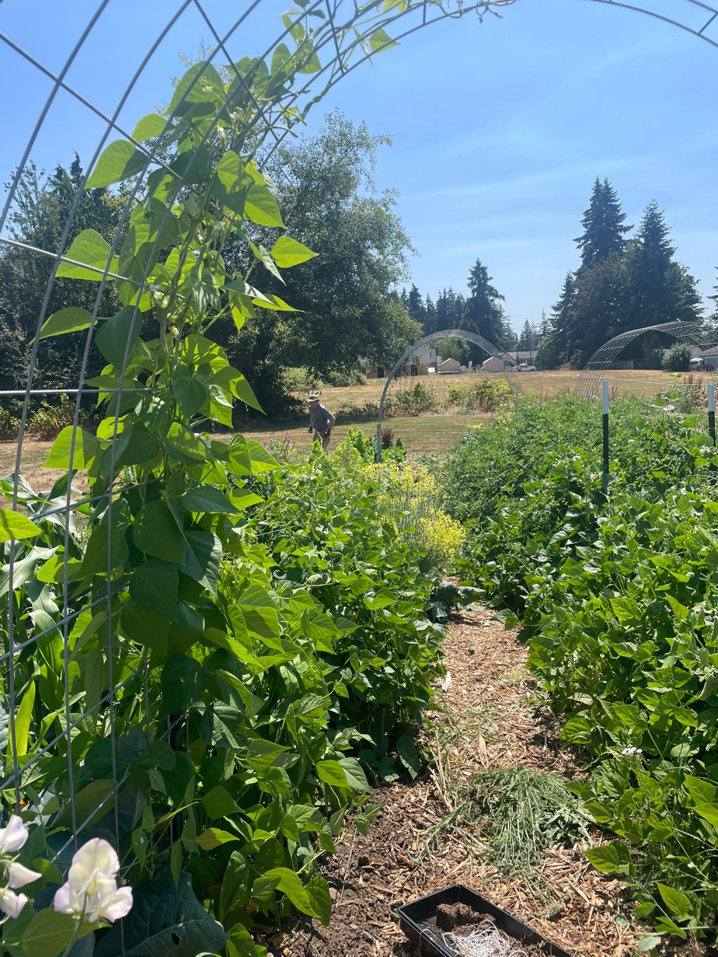 Definitely Doing That&nbsp;Again