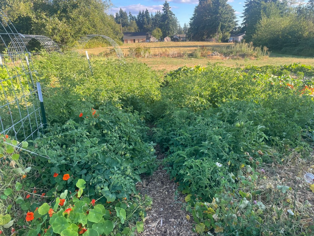 Casualties of Garden&nbsp;Warfare